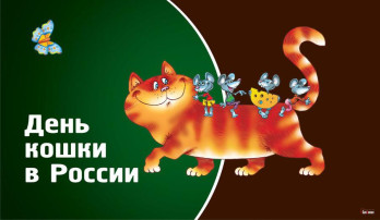 День кошек в России День кошек в России.